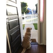 Home Owner wanting sitter in Perth, Western Australia