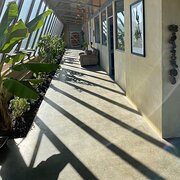 Home Owner wanting sitter in Perth, Western Australia