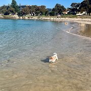 Home Owner wanting sitter in Perth, Western Australia