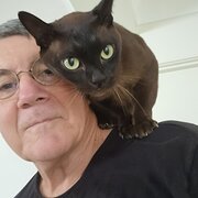 House Sitter - Tony