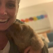 House Sitter - Caring, respectful and playful