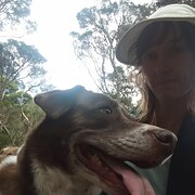 House Sitter - Experienced pet sitter older female