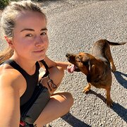 House Sitter - Dutch doctor, internship, loves animals