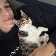 House Sitter - Animal lover :)