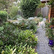 Home Owner wanting sitter in , Western Australia