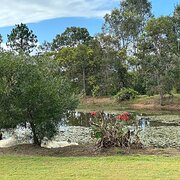 Home Owner wanting sitter in Gympie , Queensland