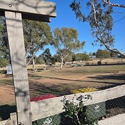 Home Owner wanting sitter in Warwick or Toowoomba, Queensland
