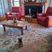 Home Owner wanting sitter in Bendigo, Victoria