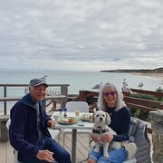 House Sitter - Vicki, Mike, Davey - Gentle Souls