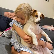 Home Owner wanting sitter in Banora point, New South Wales