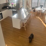 Home Owner wanting sitter in Sydney. Newcastle, New South Wales