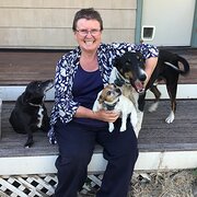 House Sitter - Animal Lover of Magnitude