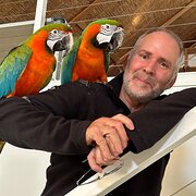 House Sitter - Simply a reliable animal lover.