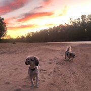 House Sitter - Pete and Helen semi retired couple