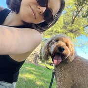 House Sitter - Experienced, caring & reliable pet sitte