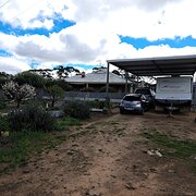 Home Owner wanting sitter in Murray Bridge, South Australia