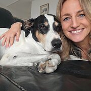 House Sitter - Experienced Home Minder & Animal Profess