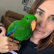 Home Owner wanting sitter in , Queensland