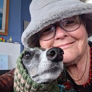 House Sitter - Iwander