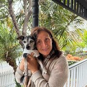 House Sitter - Reliable and Caring House Sitter
