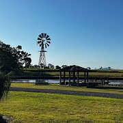 Home Owner wanting sitter in Mackay, Queensland