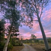 Home Owner wanting sitter in , Queensland