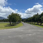 Home Owner wanting sitter in Cairns, Queensland