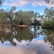 Home Owner wanting sitter in , New South Wales