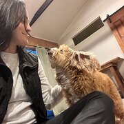 House Sitter - Miss Karina