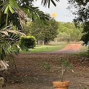 Home Owner wanting sitter in Darwin, Northern Territory