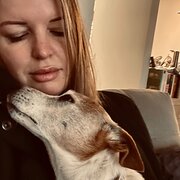 House Sitter - Friendly, reliable, and experienced