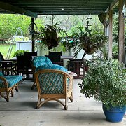 Home Owner wanting sitter in Cairns , Queensland