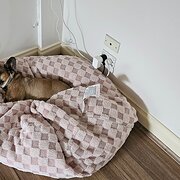 Home Owner wanting sitter in , Victoria