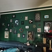 Home Owner wanting sitter in MELBOURNE, Victoria