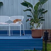 Home Owner wanting sitter in Newcastle , New South Wales