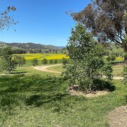 Home Owner wanting sitter in Wagga Wagga, New South Wales