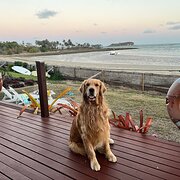 Home Owner wanting sitter in Rockhampton, Queensland