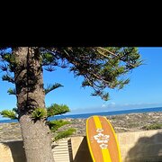 Home Owner wanting sitter in , Western Australia