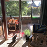 Home Owner wanting sitter in Melbourne, Victoria