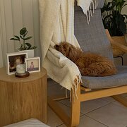 Home Owner wanting sitter in , Queensland