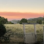 Home Owner wanting sitter in Toowoomba, Queensland