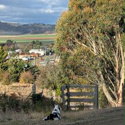 Home Owner wanting sitter in , Tasmania