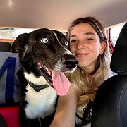 House Sitter - Julieta Del Negro