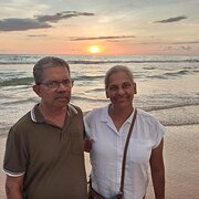 House Sitter - Anushka