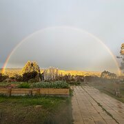 Home Owner wanting sitter in , New South Wales