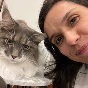 House Sitter - House/Pet Sitter - Sydney Region