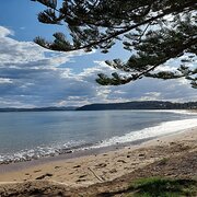Home Owner wanting sitter in Batemans Bay, New South Wales