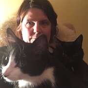 House Sitter - Animal Lovers - House and Pet Sitters 