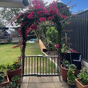 Home Owner wanting sitter in Brisbane, Queensland