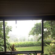 Home Owner wanting sitter in Cairns, Queensland